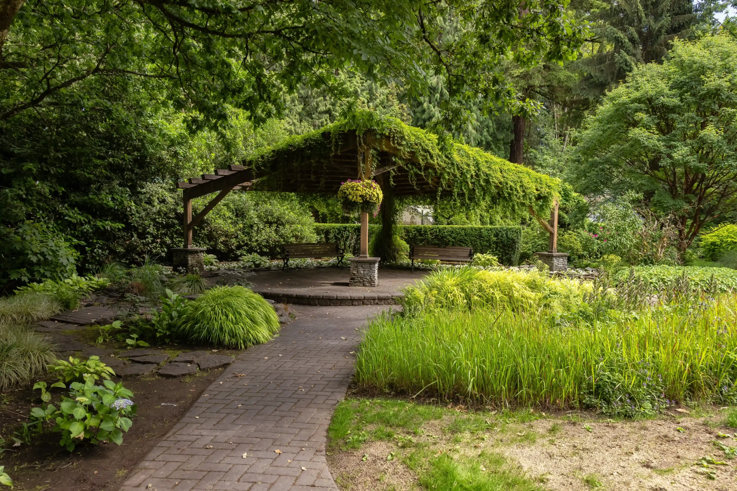 Lauko teritorijų priežiūra 